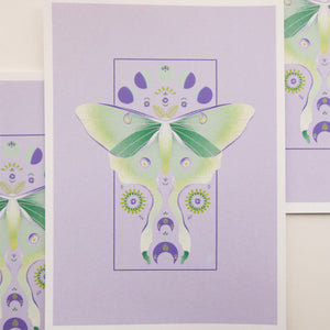 Luna Moth Print