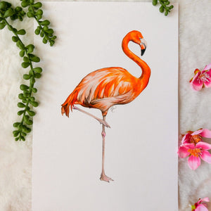 Flamingo Print